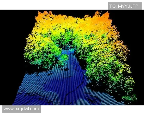 航班排放碳补偿项目的透明性探讨及造林项目现状分析